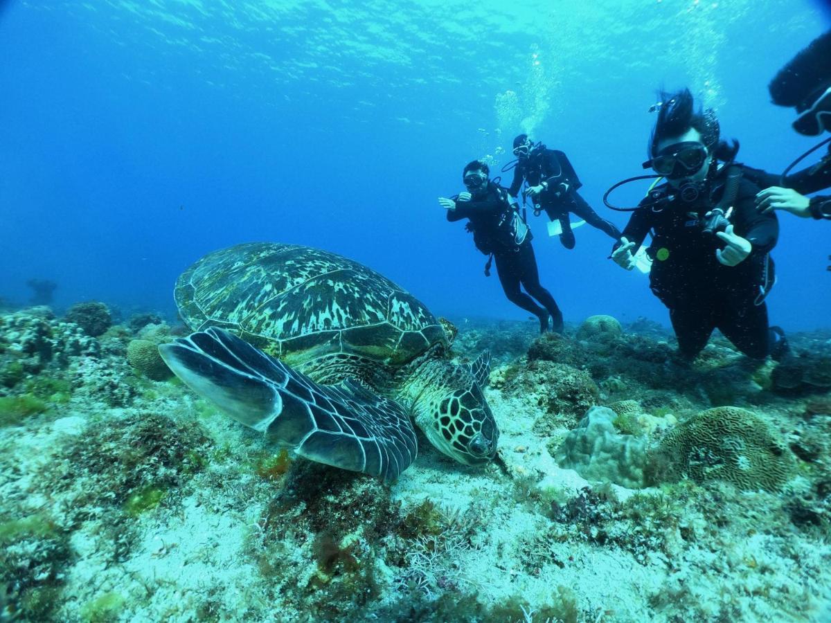 Stay Liuqiu Diving Hostel Xiaoliuqiu Eksteriør billede