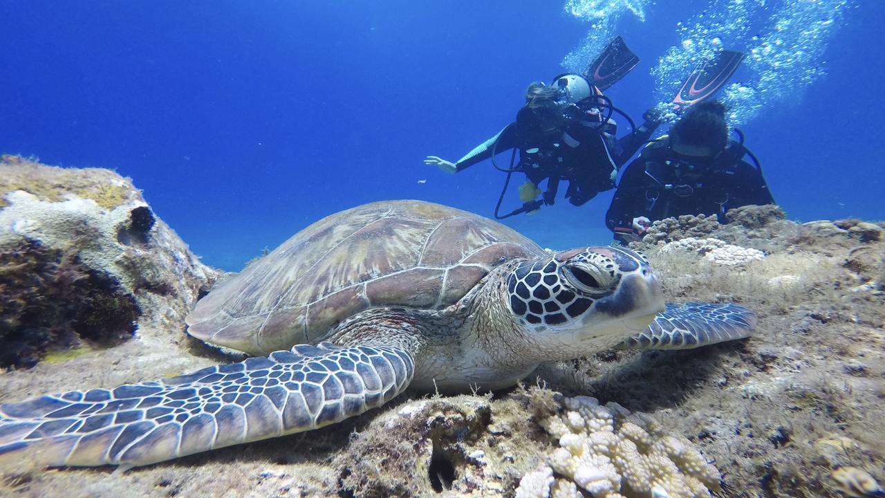 Stay Liuqiu Diving Hostel Xiaoliuqiu Eksteriør billede