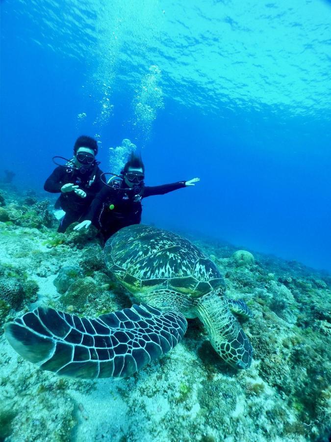 Stay Liuqiu Diving Hostel Xiaoliuqiu Eksteriør billede